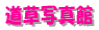 �����ʐ^��