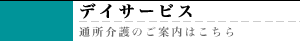 �f�C�T�[�r�X