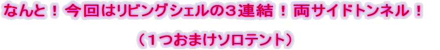 ȂƁI̓rOVF̂RAITChglIP܂\eg
