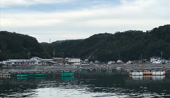 IMG_1017.jpg