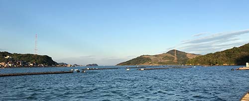 IMG_1029.jpg