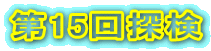 15T