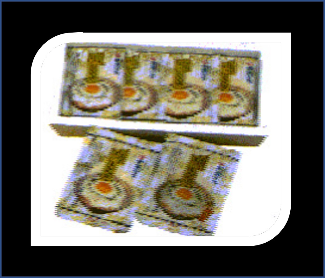 写真の説明