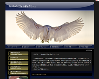 Martin�́u�t�H�g�M�������[�vWebsite��