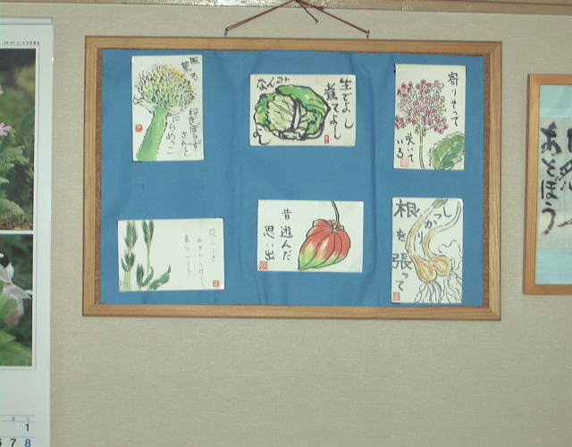 G莆-1