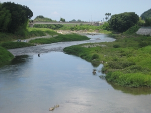 両郡橋下流