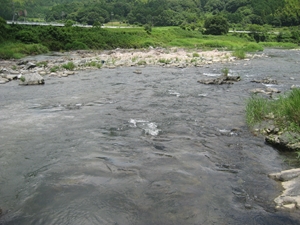 沈橋