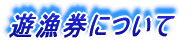 ʋA