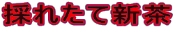 �̂ꂽ�ĐV��