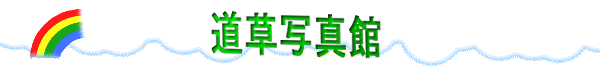�ʐ^��