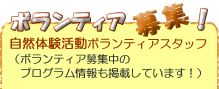 {eBAW