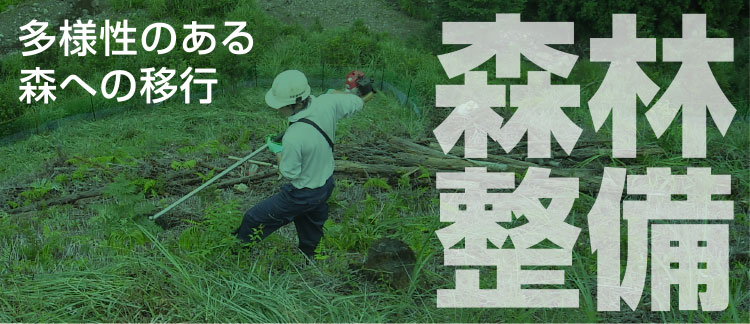 【森林整備】多様性のある森への移行