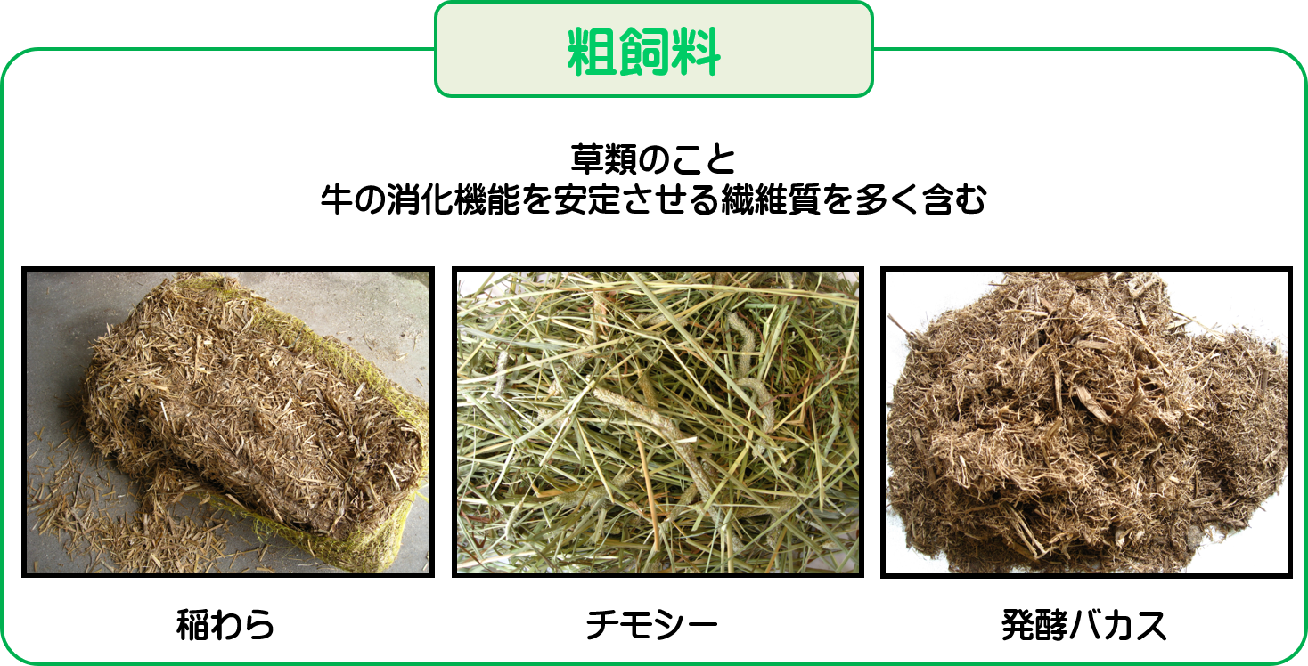 三重県の牧場　松阪牛、特産松阪牛も肥育。松阪肉牛共進会、多気町肉牛共進会参加。牧場見学も可能。求人情報掲載中。餌にこだわっています。米ぬかやさとうきびカスなどを使用。独自の餌、松阪の里を使用。抗生物質などは不使用。安心安全なお肉を消費者の皆様へ。
