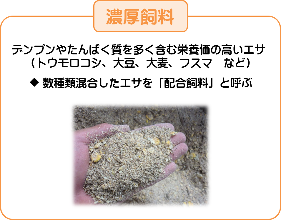 三重県の牧場　松阪牛、特産松阪牛も肥育。松阪肉牛共進会、多気町肉牛共進会参加。牧場見学も可能。求人情報掲載中。餌にこだわっています。米ぬかやさとうきびカスなどを使用。独自の餌、松阪の里を使用。抗生物質などは不使用。安心安全なお肉を消費者の皆様へ。