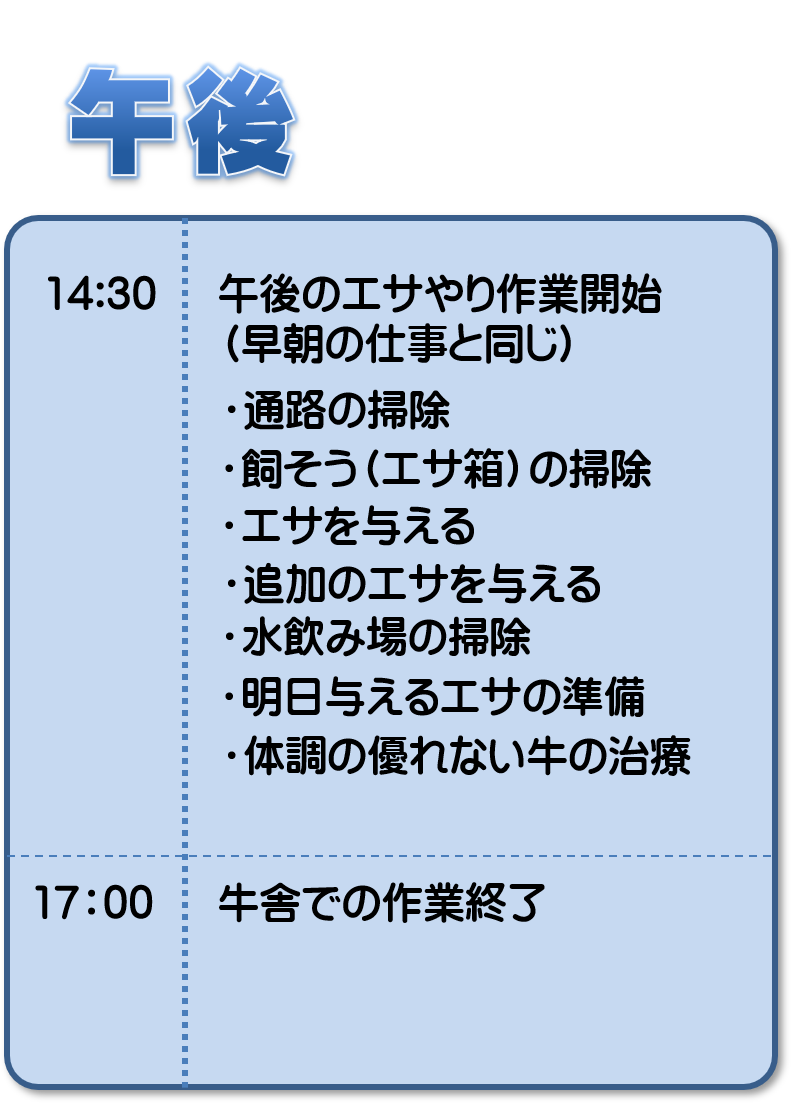 午後の仕事