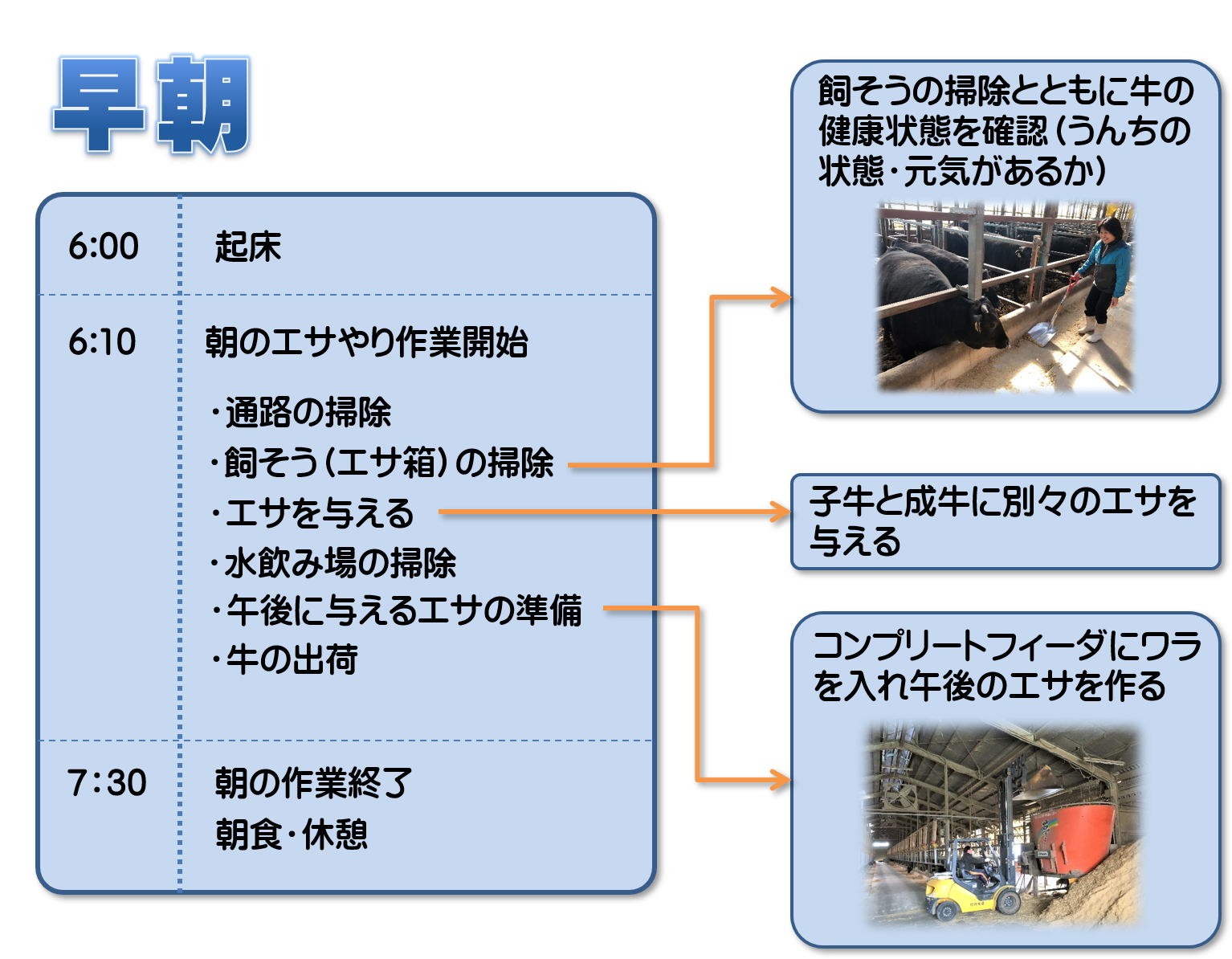 早朝の仕事　牧場見学　三重県多気郡多気町の牧場　竹内牧場　畜産業　家族経営　田舎暮らし　スローライフ　動物好きの方にお勧め　牧場