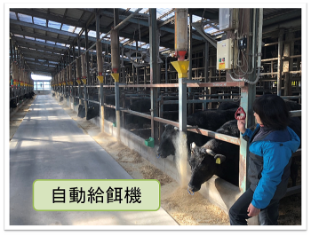 自動給餌機　時間短縮