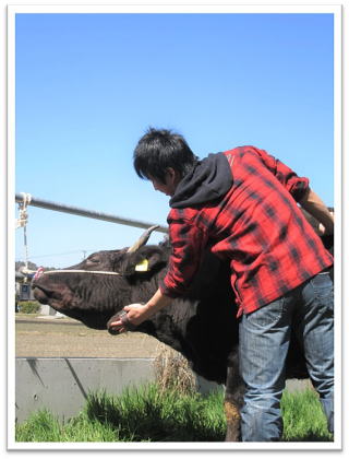 但馬牛　特産松阪牛　松阪共進会
