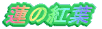 @̍gt