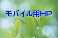 oCpy[WJ܂