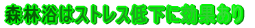 �X�g���X�ቺ�Ɍ��ʂ���X�ї�
