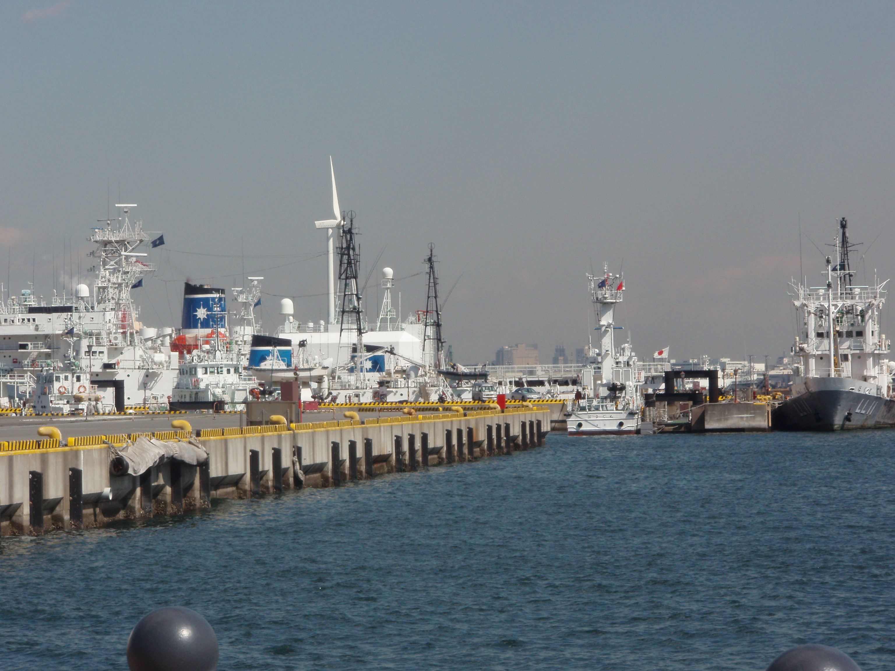 �����D�����ǂ��E�E