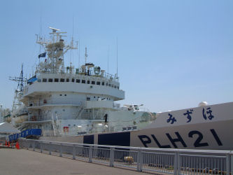 ݂ PLH21